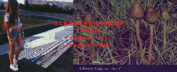 ешки Снежногорск