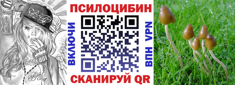 Галлюциногенные грибы Psilocybine cubensis  купить   Новоузенск 