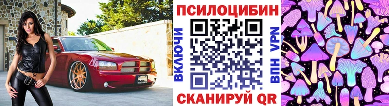 Псилоцибиновые грибы Psilocybe Новоузенск